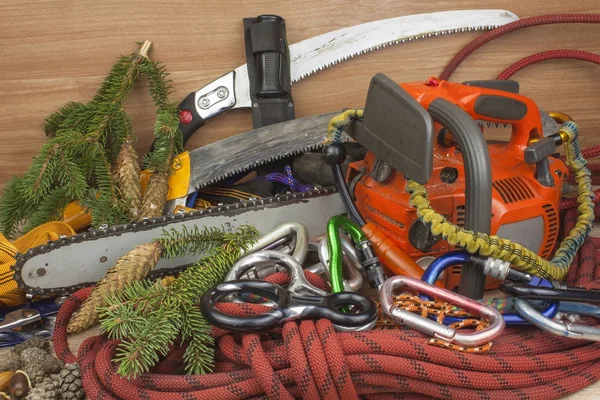 Herramientas para cortar árboles, arboristas utilitarios. Sierra de cadena, cuerda y mosquetones para trabajar el leñador. Arborista - médicos árboles —  Fotos de Stock