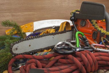 Araçları kırpma ağaçlar, yardımcı program arborists için. Oduncu çalışmaya elektrikli testere. Arborist - doktorlar ağaçlar