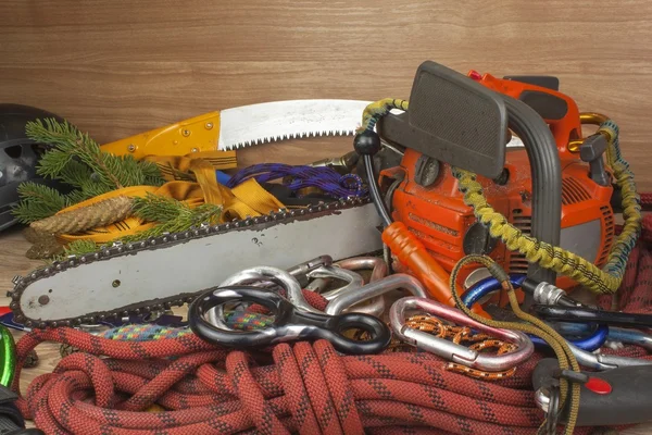 Araçları kırpma ağaçlar, yardımcı program arborists için. Oduncu çalışmaya elektrikli testere. Arborist - doktorlar ağaçlar