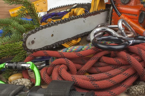 Tools for trimming trees, utility arborists. Chainsaw to work lumberjack. Arborist - doctors trees