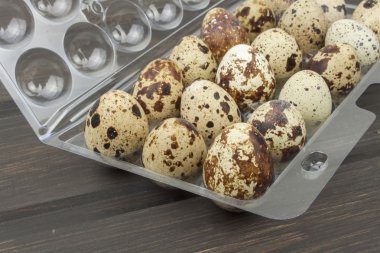 Bıldırcın yumurtası bir plastik taşıma çantası.