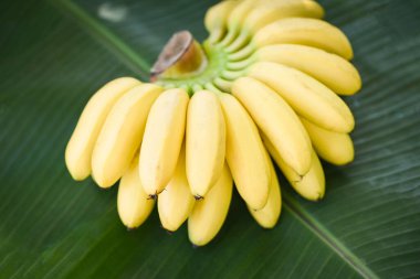 ripe banana tropical fruit on banana leaf  background, fresh banana clipart