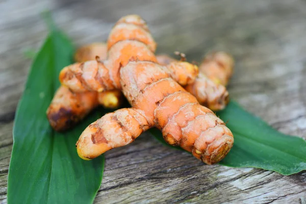 Turmeric Wooden Fresh Turmeric Root Green Leaves Nature Medicine Herb — Stock Photo, Image