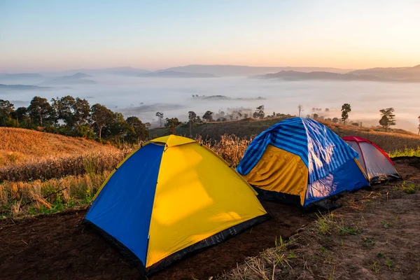 Dağda Kamp Çadırı Sisli Bir Kamp Gün Doğumu Kış Manzaralı — Stok fotoğraf