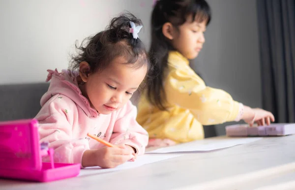 小さなアジアの子供の女の子は家で幸せな笑顔で楽しみを持っています 二人のかわいい女の子の子供が遊んで教育を学びます — ストック写真