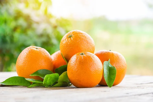 Apelsinfrukter Med Blad Trä Och Natur Bakgrund Frisk Apelsin Med — Stockfoto