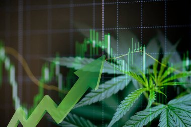 Esrar işi ile marihuana yaprakları ve borsa borsa ticaret analizi yatırımı, ticari esrar ilacı parası daha yüksek değer finans ve ticaret kar eğilimleri üzerinde borsa grafiği grafikleri