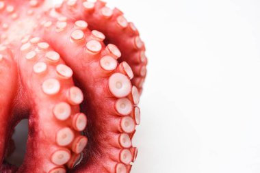 Ahtapot beyaz arka planda izole edilmiş, ahtapot dokunaçları kaynatılmış deniz ürünleri mürekkep balığı mürekkep balığı. 