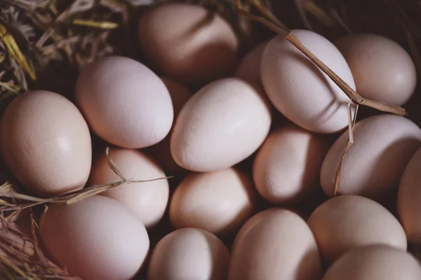 Paaseieren Mand Nest Vers Eierboerderij — Stockfoto