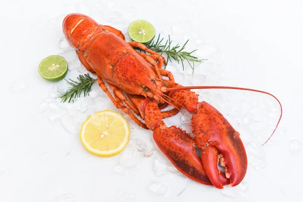 新鲜龙虾在白盘的背景下 红色龙虾与香草柠檬迷迭香在一起的海鲜在餐馆里吃着健康煮熟的龙虾 — 图库照片