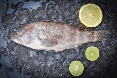 Grouper fish on ice, Fresh raw seafood fish for cooked food clipart