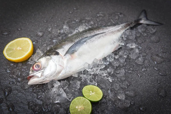 Σκουμπρί Scad Ψάρια Στον Πάγο Για Μαγείρεμα Των Τροφίμων Στο — Φωτογραφία Αρχείου