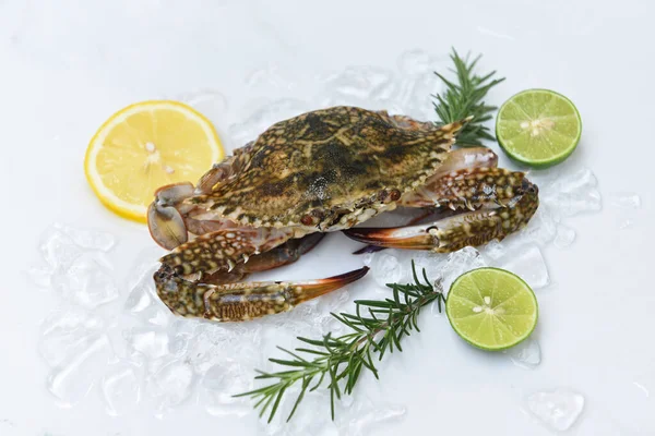 Seafood crab on ice for cooking food in the restaurant, Fresh raw Blue Swimming Crab ocean gourmet with lemon and rosemary