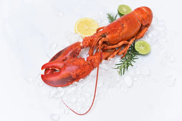 红龙虾 迷迭香 冰块在餐馆里的海鲜 健康煮熟的龙虾 白盘背景的新鲜龙虾 — 图库照片
