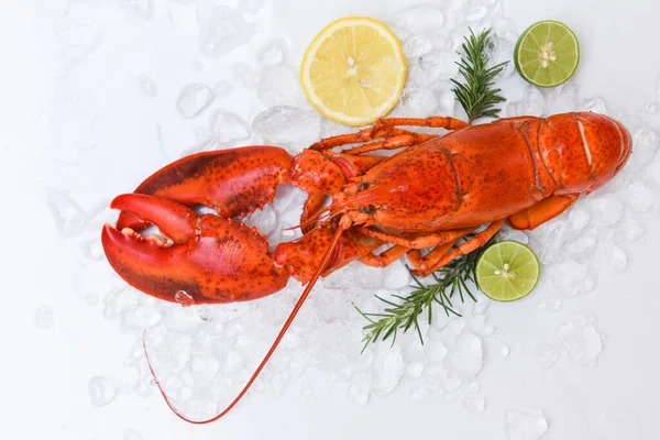 新鲜龙虾在白盘的背景下 红色龙虾与香草柠檬迷迭香在一起的海鲜在餐馆里吃着健康煮熟的龙虾 — 图库照片