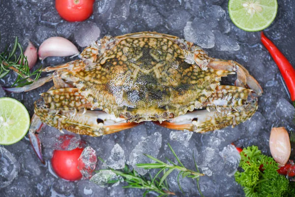 Seafood crab on ice for cooking food in the restaurant, Fresh raw Blue Swimming Crab ocean gourmet with herb spices lemon and rosemary