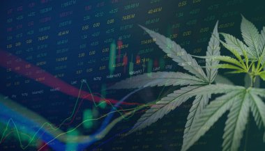Marihuana yaprakları ve borsa borsa ticaret yatırımları üzerinde borsa grafikleri, ticari esrar ilaçları parası, ticari esrar karını finanse etme eğilimleri yükseltir ve kriz kaybını kırmızıya çevirir