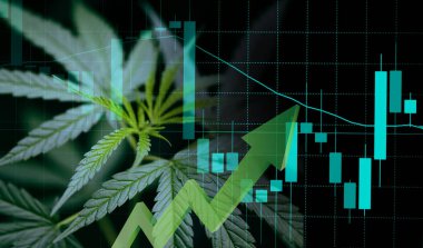 Marihuana yaprakları ve borsa borsa ticaret yatırımları üzerinde borsa grafikleri, ticari esrar ilaçları parası, ticari esrar karını finanse etme eğilimleri yükseltir ve kriz kaybını kırmızıya çevirir