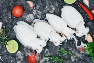 Restoranda yemek pişirmek için buzlu deniz ürünleri mürekkep balığı, taze çiğ ahtapot mürekkep balığı okyanus gurmesi ve koyu tabakta limon ve biberiye.