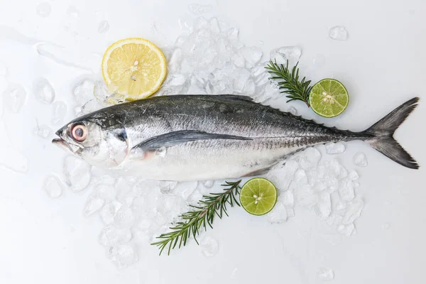 Σκουμπρί Scad Ψάρια Στον Πάγο Για Μαγείρεμα Των Τροφίμων Στο — Φωτογραφία Αρχείου