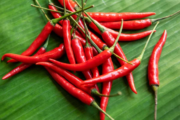 Horké Pikantní Chilli Paprika Banánovém Listě Pozadí Červené Chilli Thajska — Stock fotografie