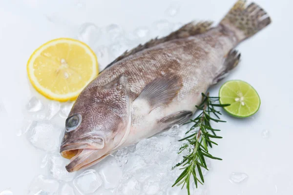 Fresh Raw Seafood Fish Cooked Food Grouper Fish Ice Rosemary — Zdjęcie stockowe