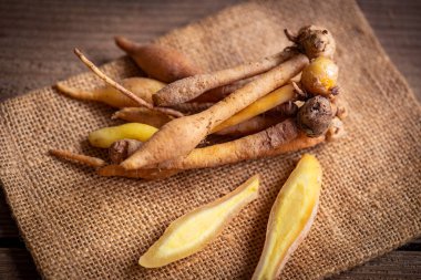 Kaempfer kökü yiyecek ve Tayland veya Çin bitkisel tıp doğası - Diğer adları Fingerroot (Çin Ginger, Galingale, Kaempfer, Boesenbergia rotunda, Krachai )