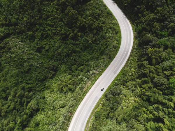 Vista Aérea Naturaleza Del Bosque Con Coche Carretera Árbol Verde —  Fotos de Stock