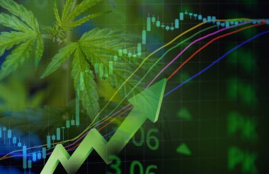 Esrar işi ile marihuana yaprakları ve borsa borsa ticaret analizi yatırımı, ticari esrar ilacı parası daha yüksek değer finans ve ticaret kar eğilimleri üzerinde borsa grafiği grafikleri
