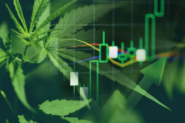 Esrar işi ile marihuana yaprakları ve borsa borsa ticaret analizi yatırımı, ticari esrar ilacı parası daha yüksek değer finans ve ticaret kar eğilimleri üzerinde borsa grafiği grafikleri
