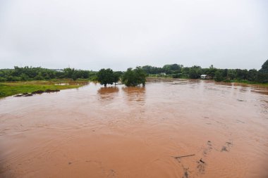 Hava manzaralı nehir seli ormanlık alan yeşil ağaç, Nehir kıyısında gölet, yukarıdan akan su, ormanlardan akan nehir yağmur sonrası vahşi su.