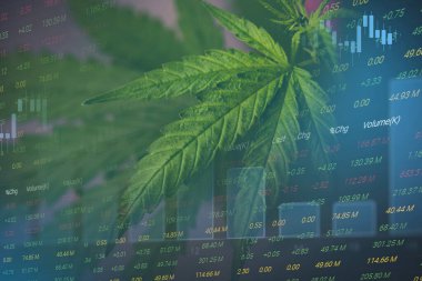 Esrar işi ile marihuana yaprakları ve borsa borsa ticaret analizi yatırımı, ticari esrar ilacı parası daha yüksek değer finans ve ticaret kar eğilimleri üzerinde borsa grafiği grafikleri