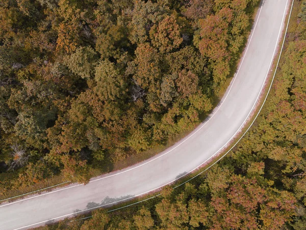 Aerial view car on road forest tree environment forest nature background, Texture of yellow orange tree and dead tree top view forest from above landscape bird eye view pine forest Autumn Orange Rush