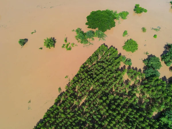 Aerial view river flood forest nature woodland area green tree farmland agriculture, Top view river lagoon pond with water flood from above, Raging river running down jungles lake flowing wild water