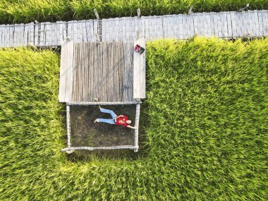 24 Ekim 2020, NAN: pirinç tarlasında hamakta uyuyan adam