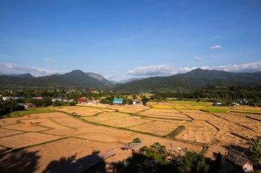 Dağ ve pirinç tarlaları mavi gökyüzündeki hasattan sonra görünür