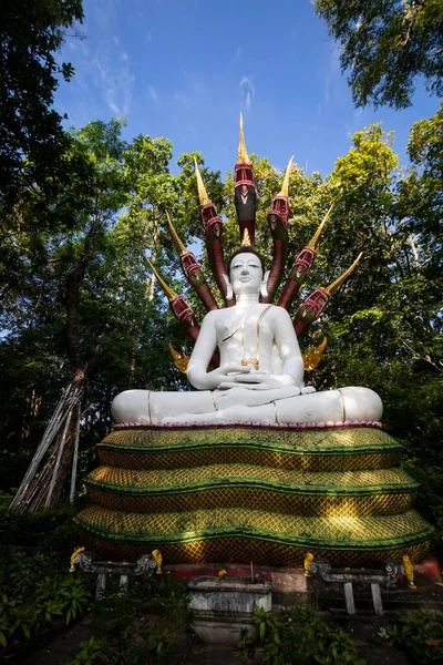 Statue Bouddha Milieu Temple Forêt Sur Montagne Thaïlande — Photo