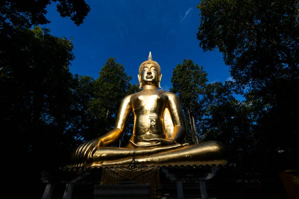 Statue Bouddha Milieu Temple Forêt Sur Montagne Thaïlande — Photo