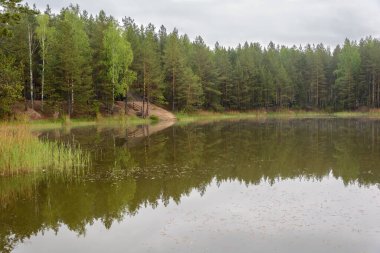 Sıcak yaz aylarında doğanın renkler renkli