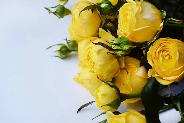Hermosa Rosa Amarilla Forma Pión Ramo Rosas Arbustos Copiar Espacio — Foto de Stock