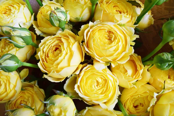 Hermosa Rosa Amarilla Forma Pión Ramo Rosas Arbustivas Amarillo Iluminador — Foto de Stock