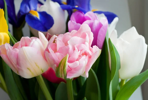 多色のチューリップや虹彩の美しい花束 牡丹ピンクのチューリップのクローズアップ — ストック写真