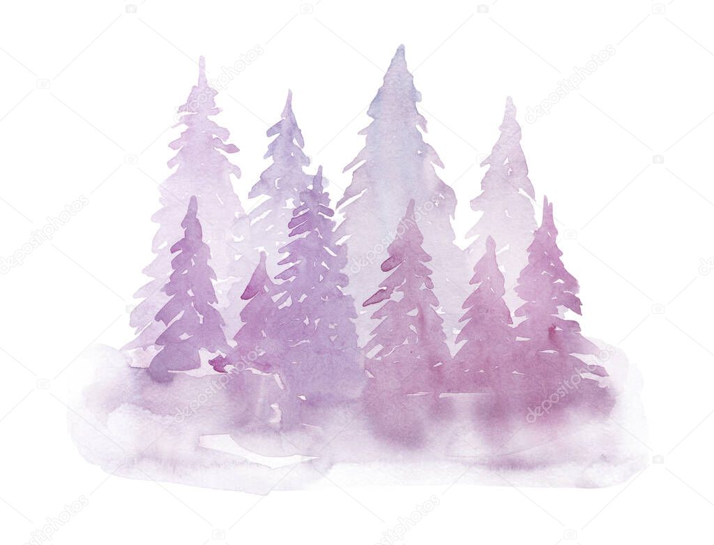     Winter watercolor purple  fir trees in the fog. Hand drawing