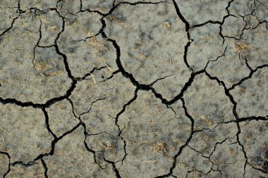 Kavurucu güneşin altındaki çorak topraklar. Dünya kuraklığı. Tarım sorunları 