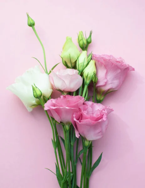 Beautiful pink eustoma flowers (lisianthus) in full bloom with buds leaves. Bouquet of flowers on pink  background. Copy spac