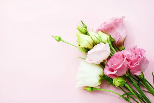 Beautiful pink eustoma flowers (lisianthus) in full bloom with buds leaves. Bouquet of flowers on pink  background. Copy spac