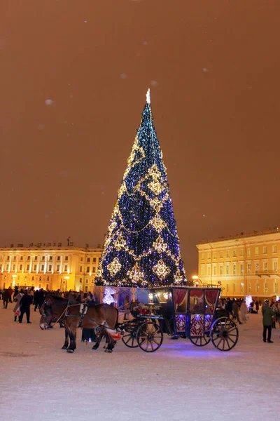 Der wichtigste Weihnachtsbaum der Stadt auf dem Schlossplatz — Stockfoto