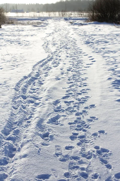 Camino Través Nieve Que Distancia Paisaje Invierno —  Fotos de Stock