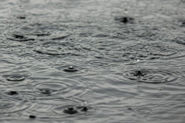 Büyük yağmur damlaları su birikintilerine düşüyor. Bulutlu, yağmurlu bir yağmur damlası su birikintilerine düşüyor. bulutlu, yağmurlu bir gün
