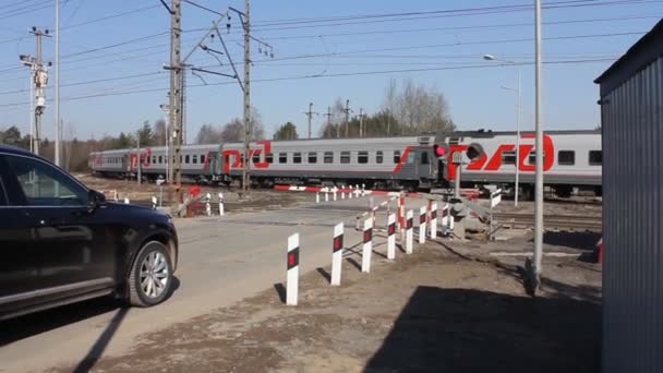 Cruce ferroviario cerrado. el tren está en las vías, el semáforo parpadea rojo prohibiendo el color. — Vídeo de stock